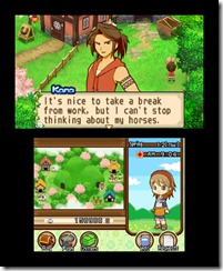 hm_twotowns_3ds_03