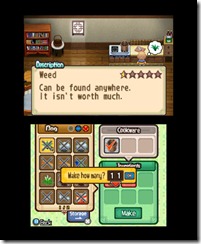 hm_twotowns_3ds_15