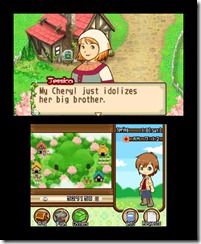 hm_twotowns_3ds_26