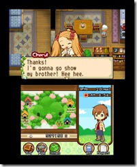 hm_twotowns_3ds_33