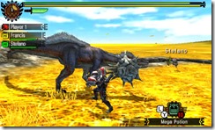 mh4u_tgs_12