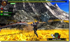 mh4u_tgs_17