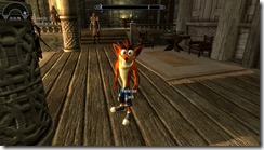 crash bandicoot follower