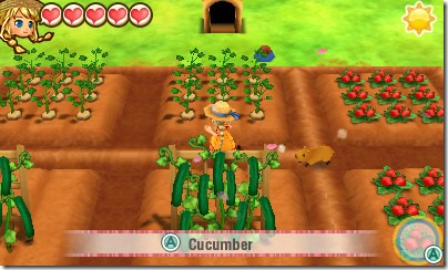 story of seasons tot 6