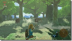 legend-zelda-breath-wild-6