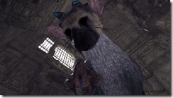 The Last Guardian (5)