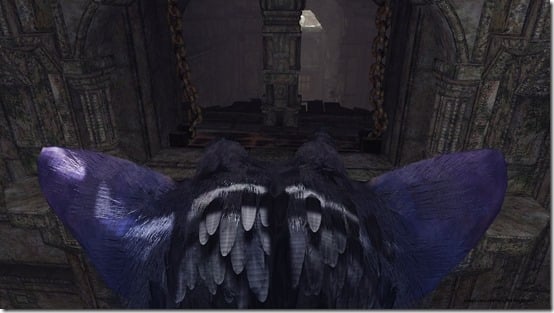 The Last Guardian (7)