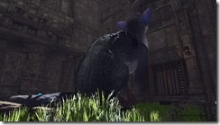 The Last Guardian (8)