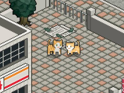a street cats tale switch 1