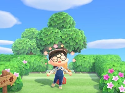 Animal Crossing May Day Celebration