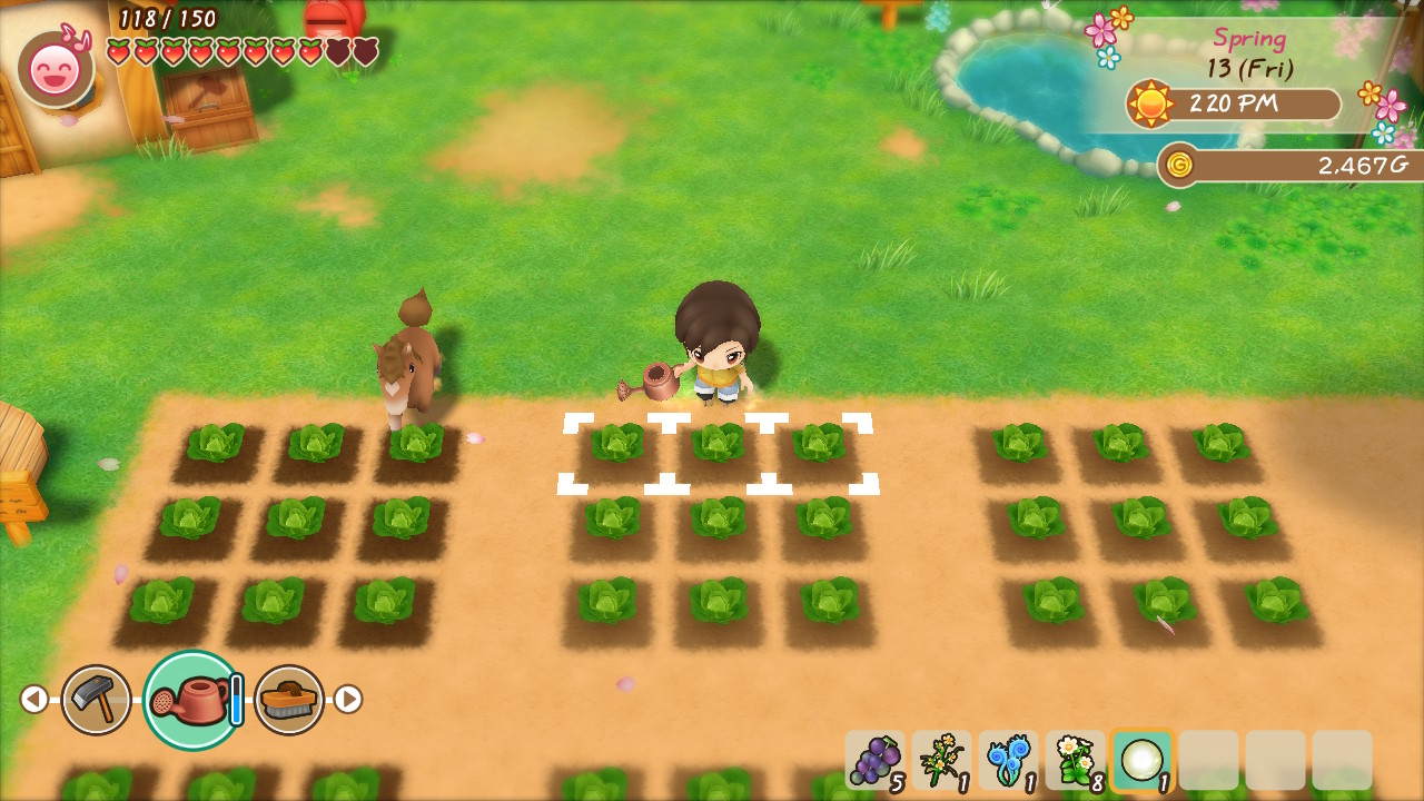 story of seasons switch preview 1