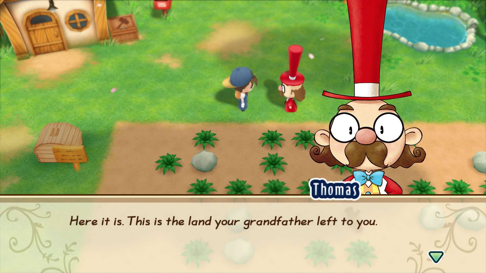 Story of seasons pc friends of mineral town steam