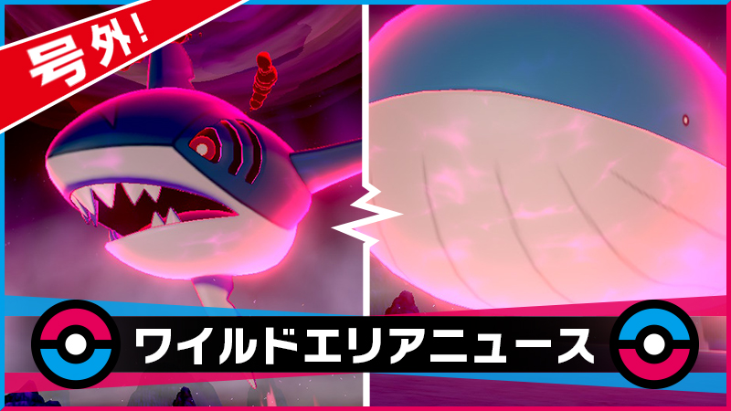 Pokemon Sword shield shiny Wailord