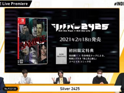 silver case switch silver 2425