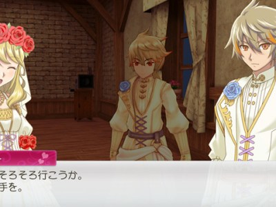 Rune Factory 5 Marriage