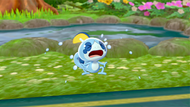 Pokemon Sword & Shield Sobble