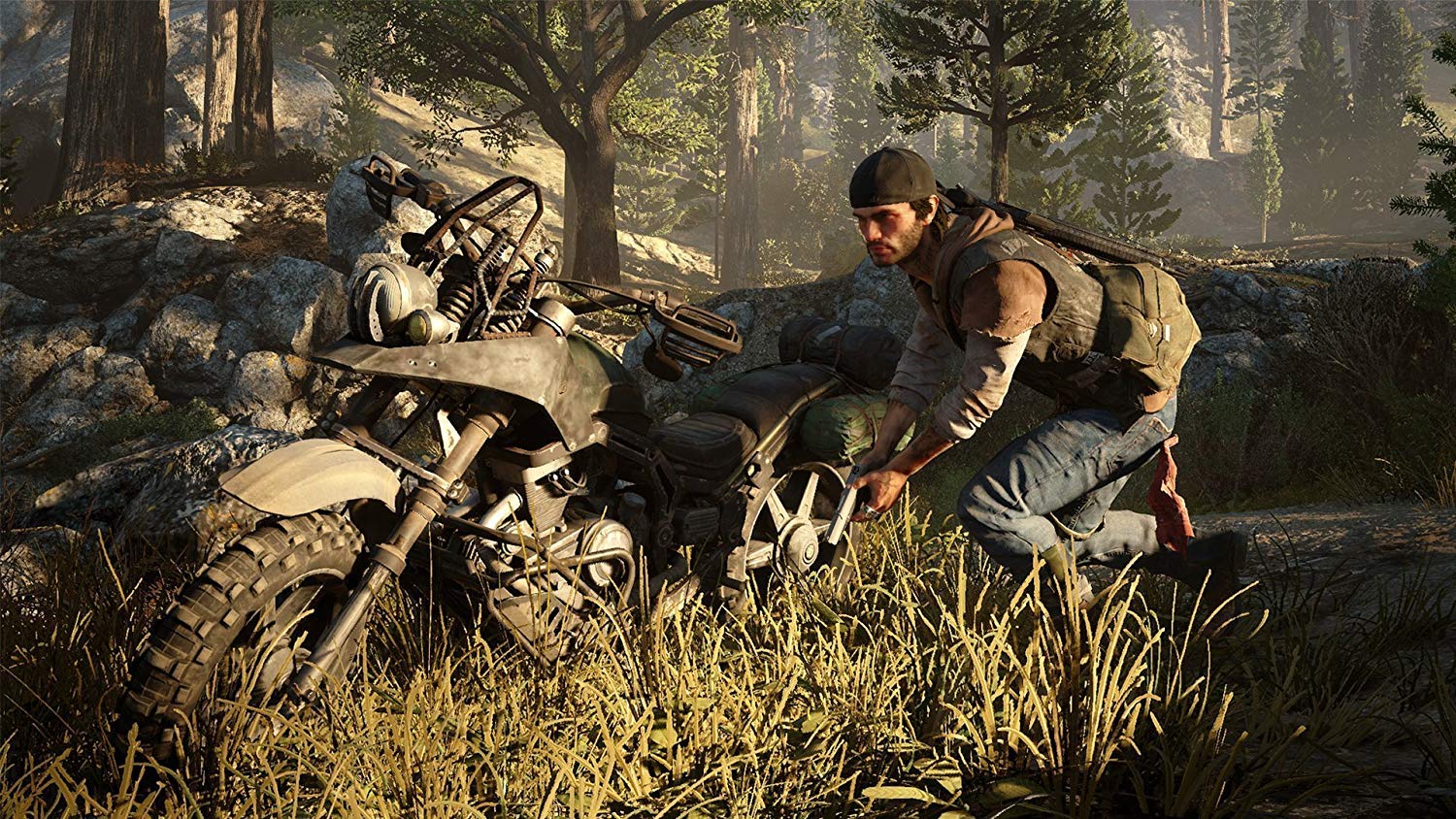 days gone pc playstation 4 pc port