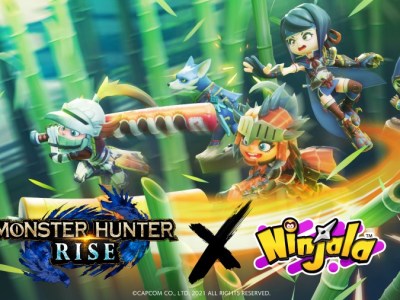 monster hunter rise ninjala 1