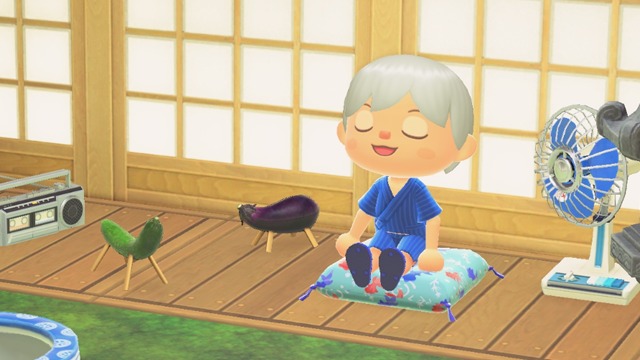 Animal Crossing New Horizons Seasonal Items