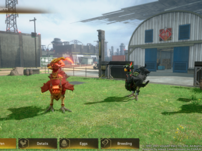 FFVII The First Soldier Chocobo Farm and Moogle Cosmetics Shared