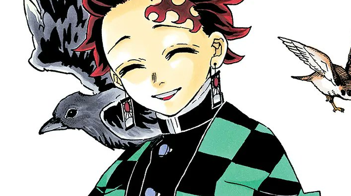 Demon Slayer Kimetsu no Yaiba The Art of Demon Slayer