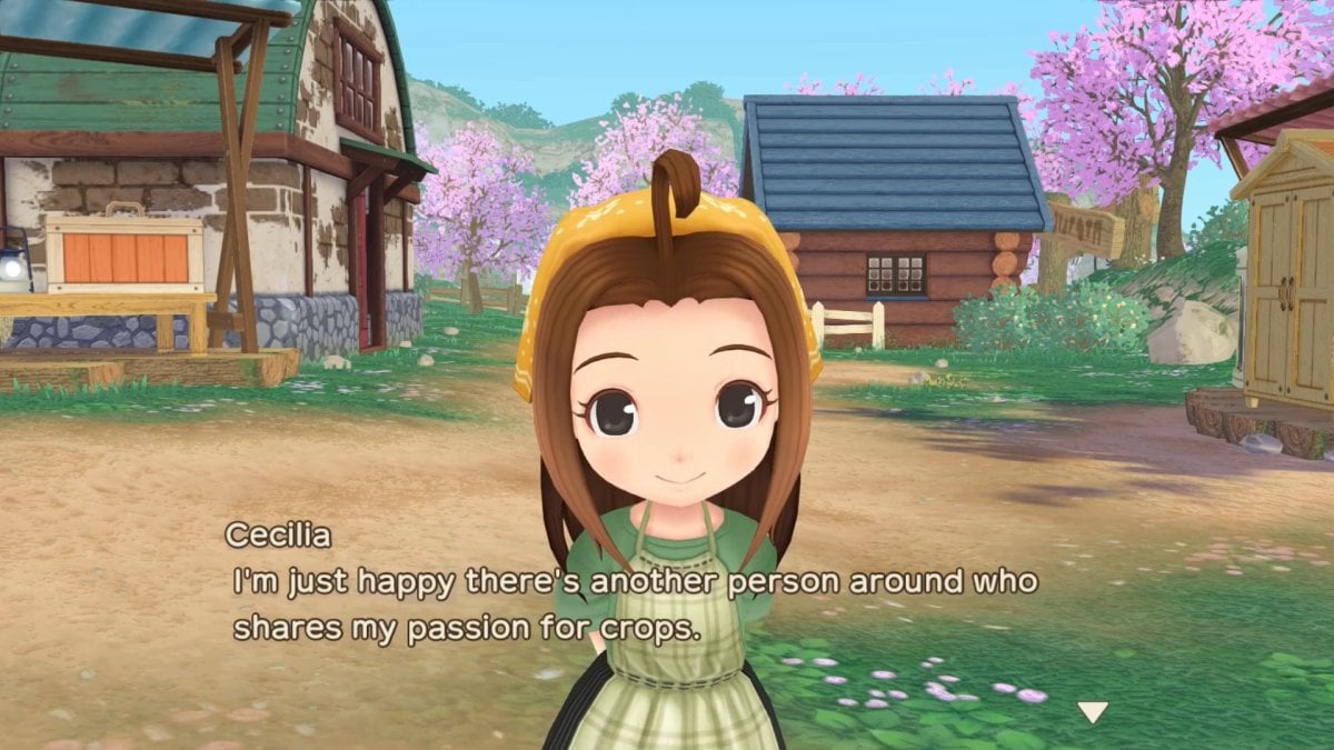 Story of Seasons: A Wonderful Life Remake Bachelors and Bachelorettes Shared