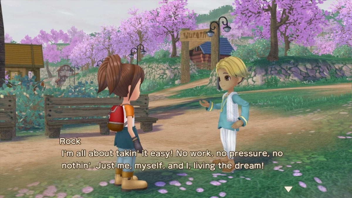 Story of Seasons: A Wonderful Life Remake Bachelors and Bachelorettes Shared