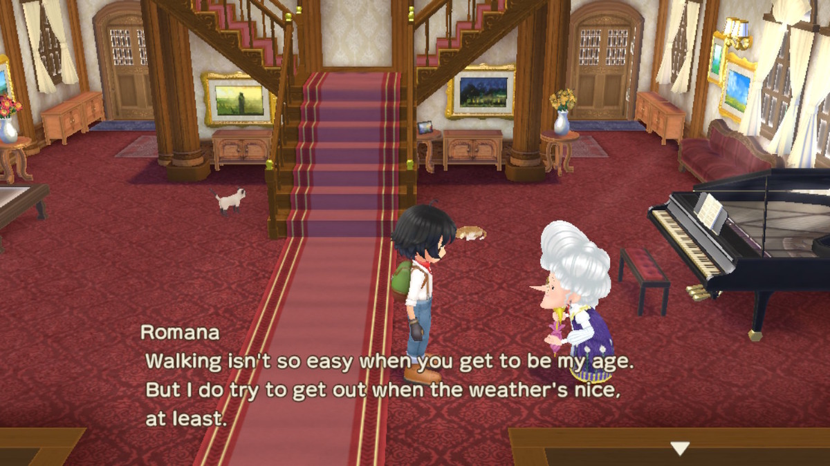 How to get a cat in Story of Seasons A Wonderful Life