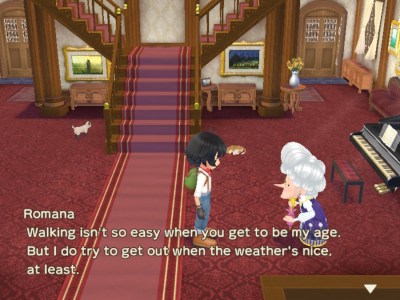 How to get a cat in Story of Seasons A Wonderful Life