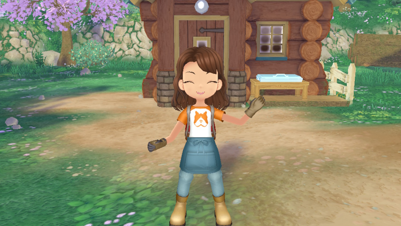 What are the Gifts All Characters like in Story of Seasons: A Wonderful Life