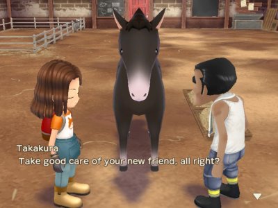 How to Get a Horse in Story of Seasons: A Wonderful Life