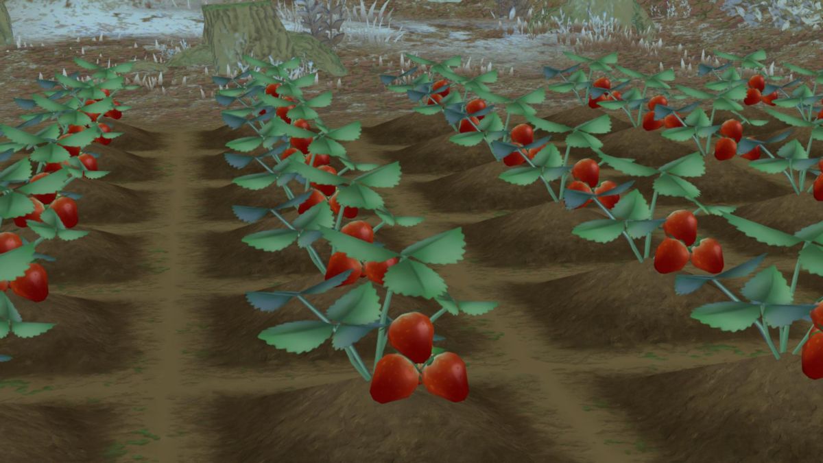 Best Winter Crops in Story of Seasons: A Wonderful Life