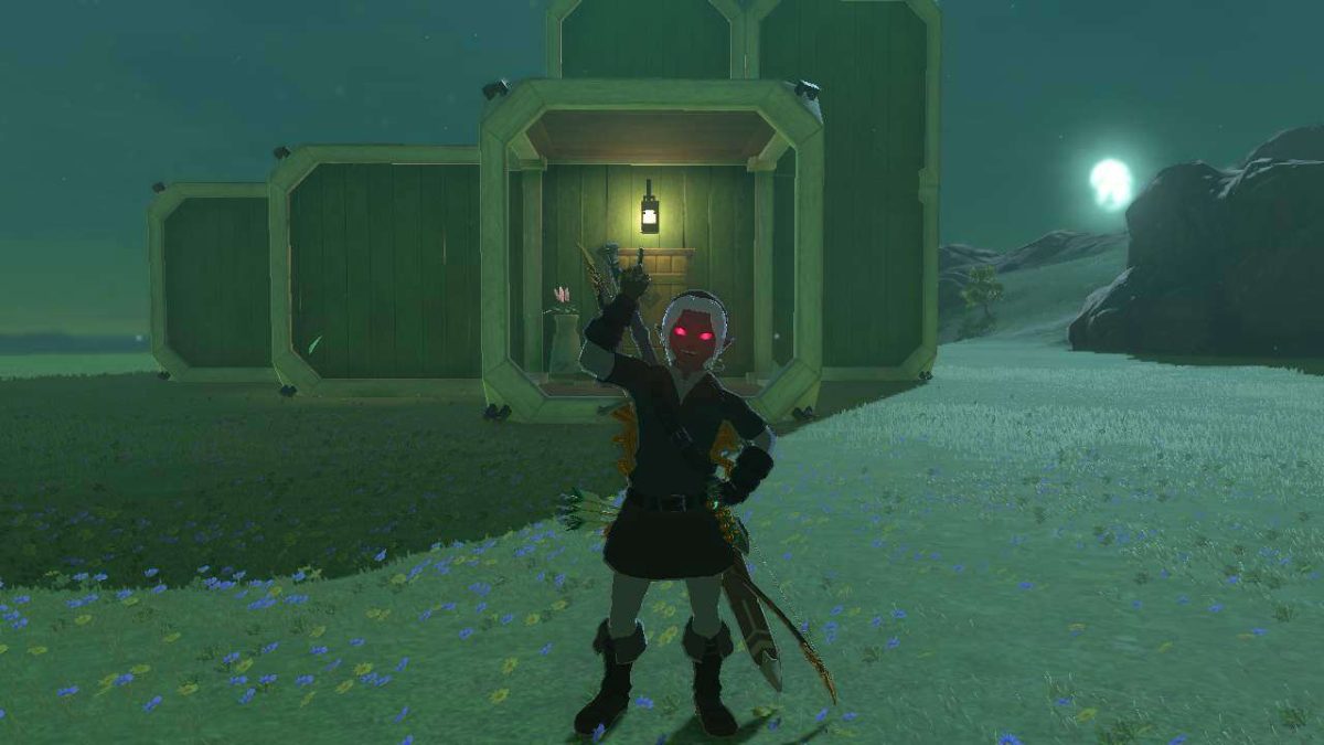 A screenshot of Link's house in Tears of the Kingdom.