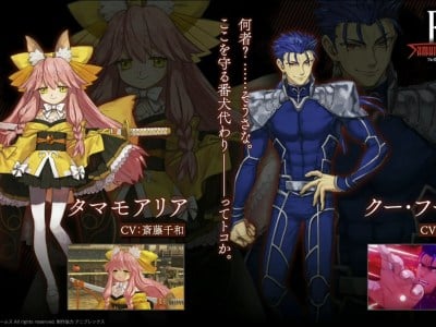 fate/samurai remnant tamamo aria cu chulainn