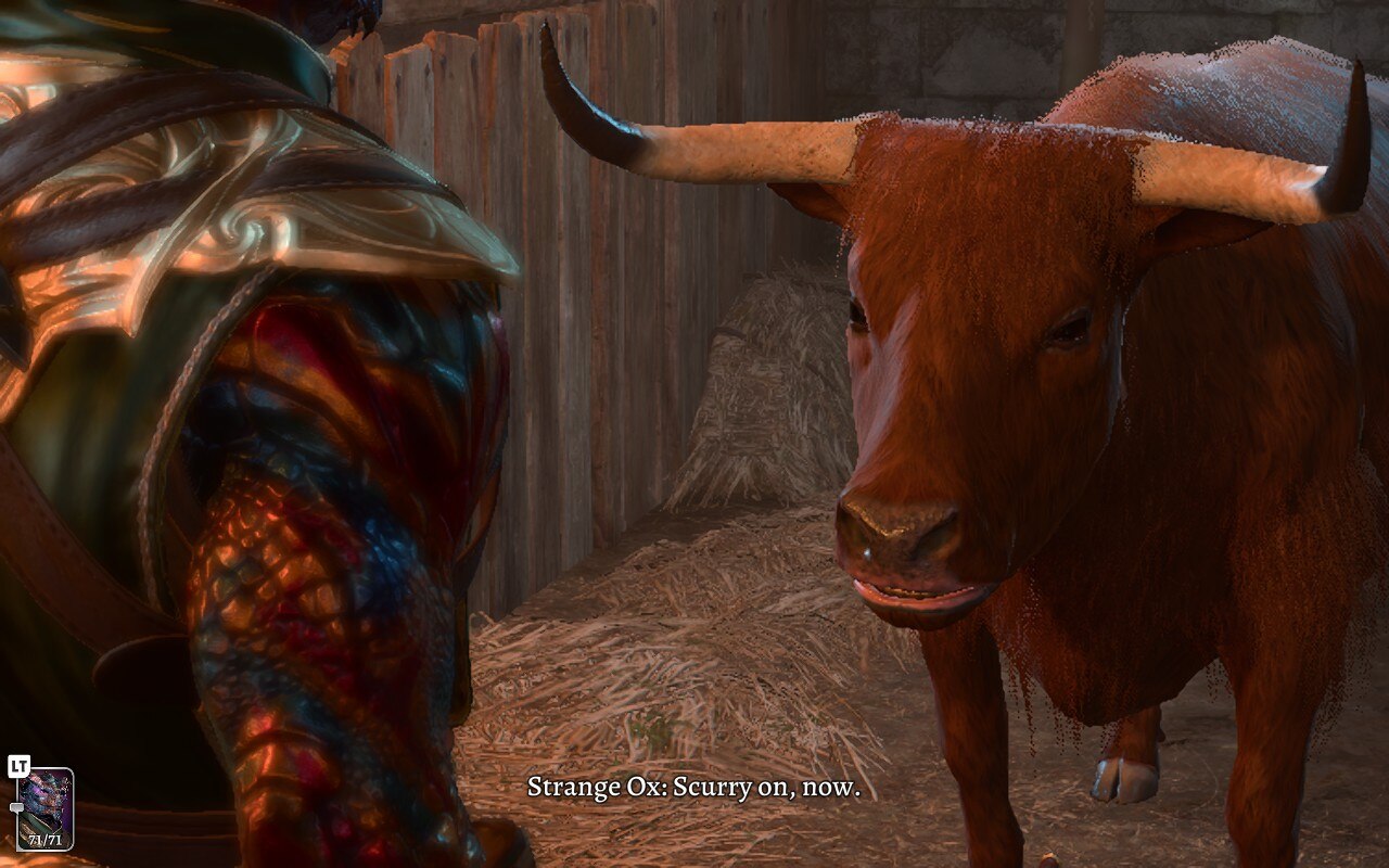 should you kill the strange ox Baldur’s Gate 3?
