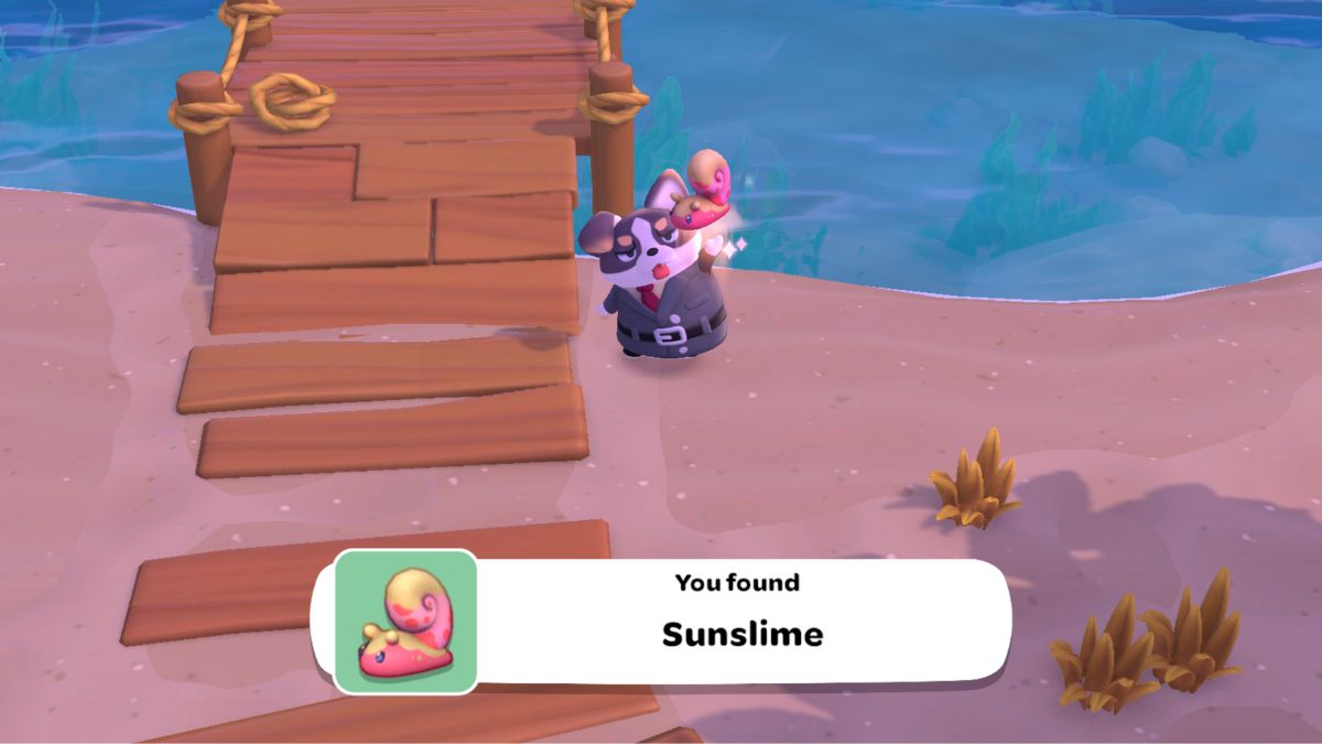 Hello Kitty Island Adventure Critter Location List