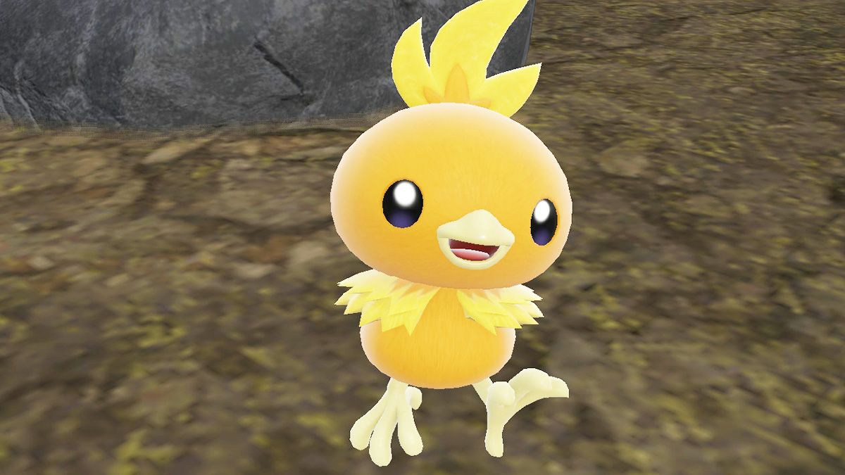 Where To Find Torchic In Pokemon's Indigo Disk DLC (& How To Catch)