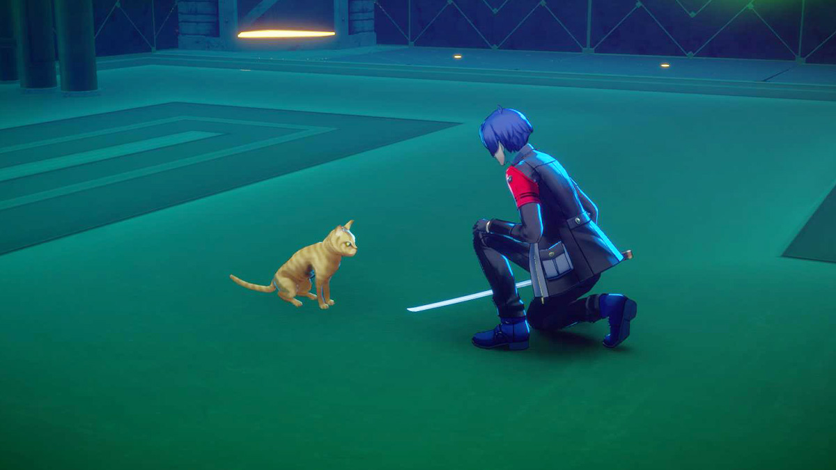 How to Feed Hungry Cat in Persona 3 Reload (Elizabeth Request)