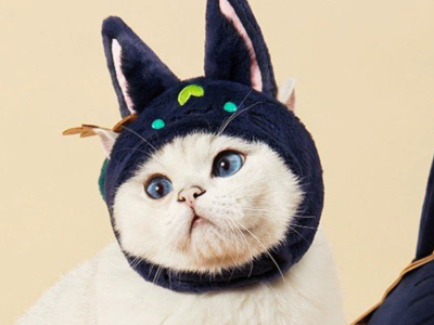 genshin impact pet hoods tighnari