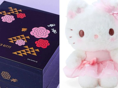 A Hello Kitty themed box and a fluffy Hello Kitty plush.