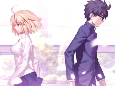 tsukihime streaming guidelines