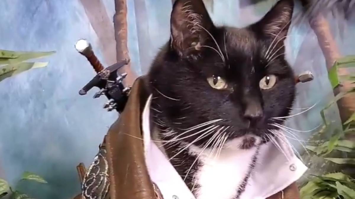 FFXIV Dawntrail Ad Features Cat Cosplay