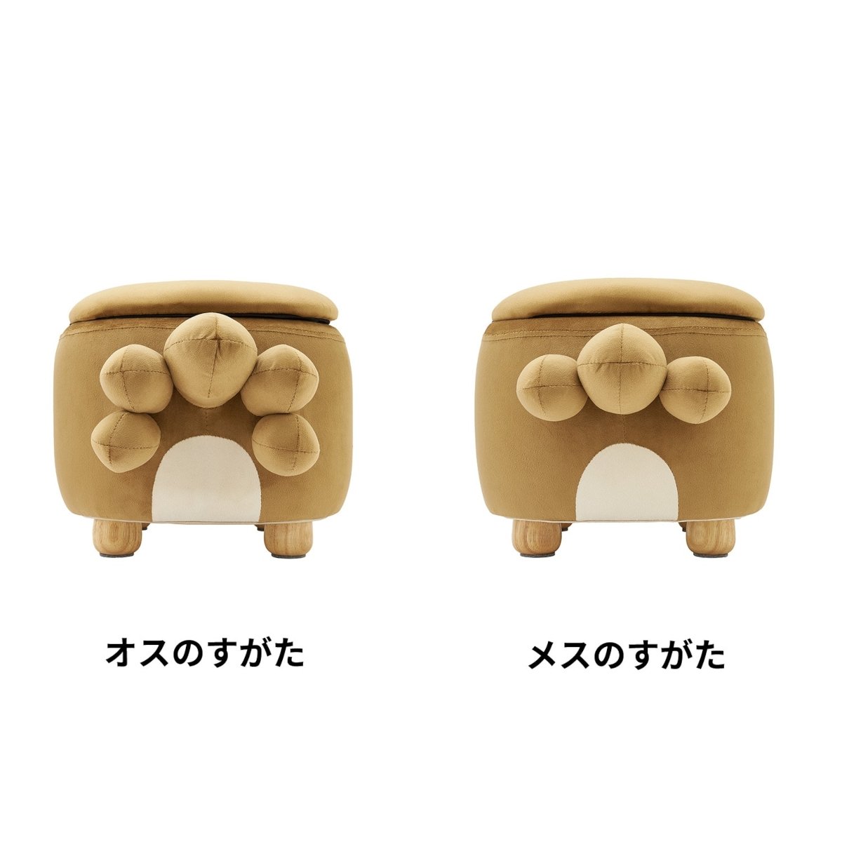 Pokemon Bidoof stools - male and female tail differences